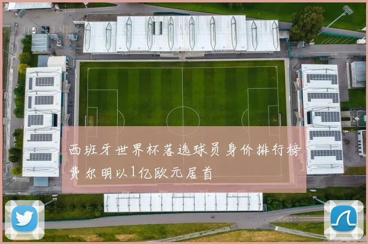 西班牙世界杯落选球员身价排行榜费尔明以1亿欧元居首